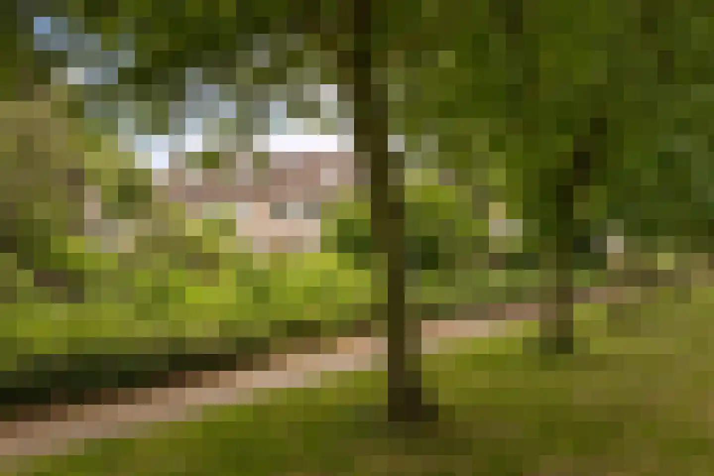 Hertog Albrechtstraat 63 Bovenkarspel thumbnail 35