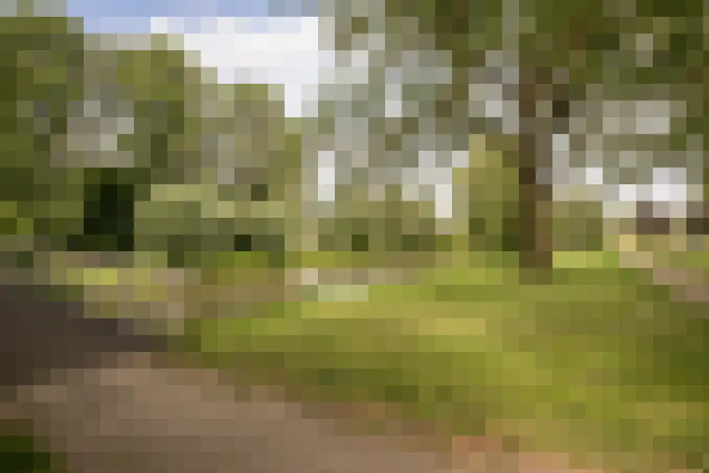 Hertog Albrechtstraat 63 Bovenkarspel thumbnail 36