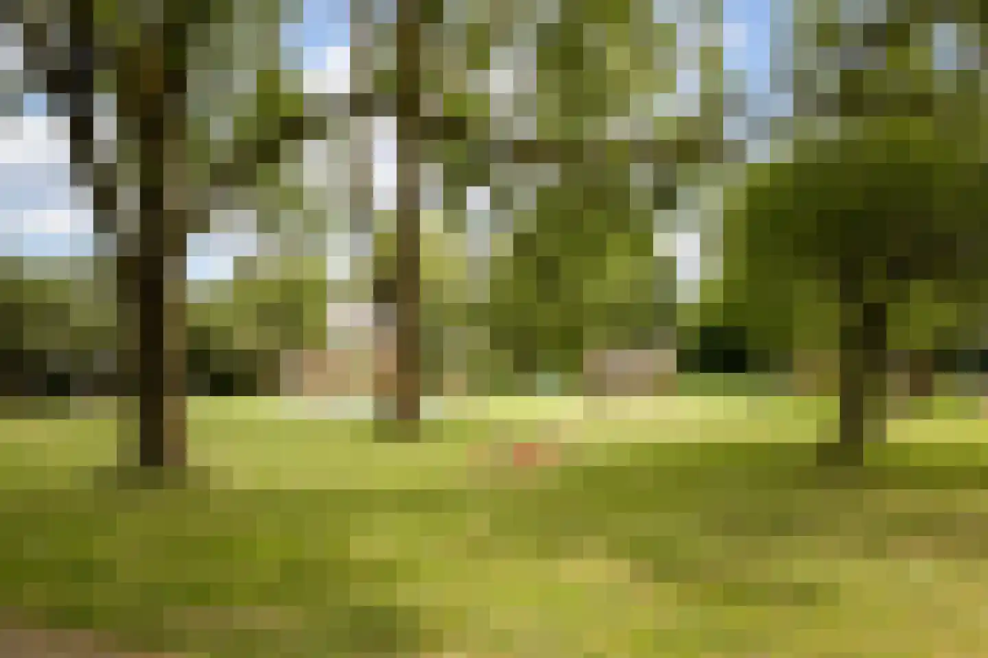 Hertog Albrechtstraat 63 Bovenkarspel thumbnail 37