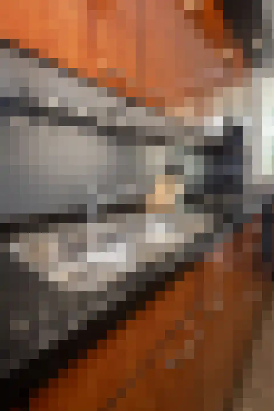 Hertog Albrechtstraat 63 Bovenkarspel thumbnail 47