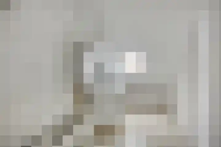 Hertog Albrechtstraat 7 Bovenkarspel thumbnail 21