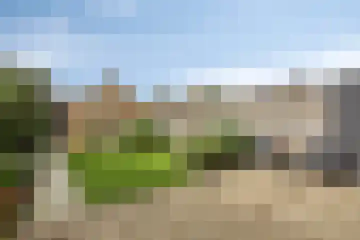 Hertog Albrechtstraat 7 Bovenkarspel thumbnail 24