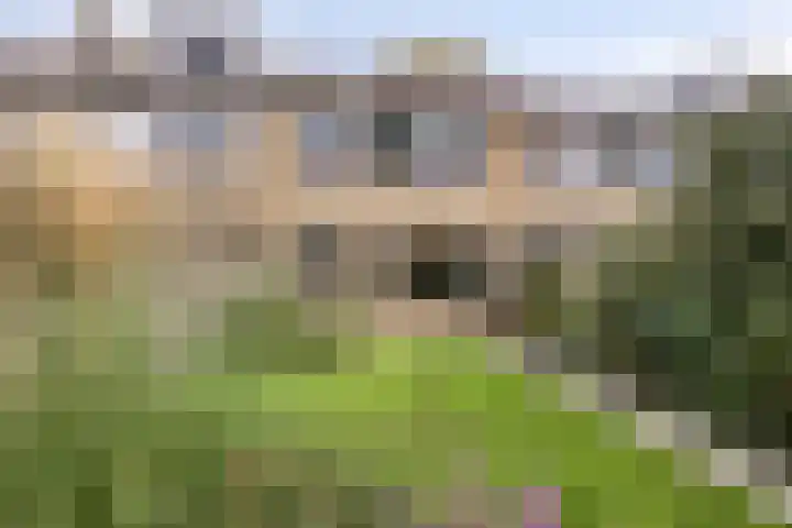 Hertog Albrechtstraat 7 Bovenkarspel thumbnail 26