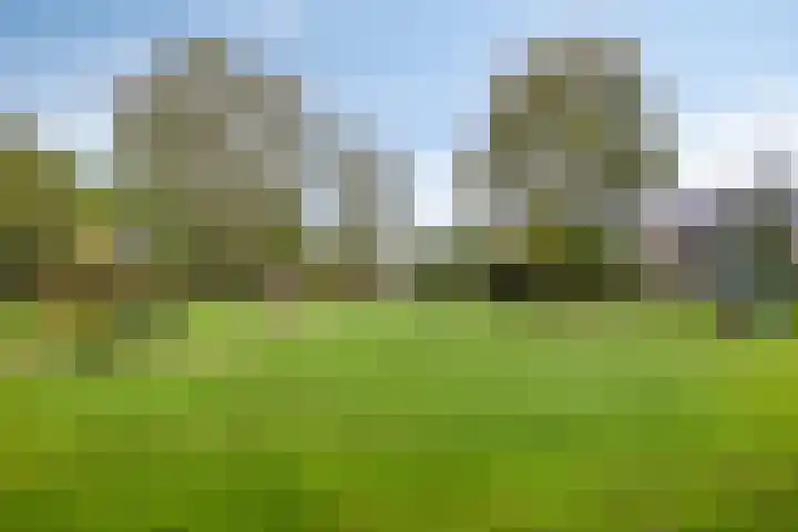 Hertog Albrechtstraat 7 Bovenkarspel thumbnail 28