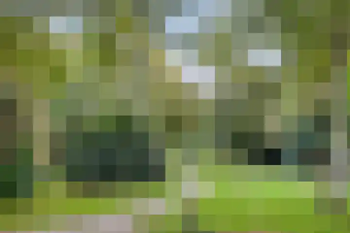 Hertog Albrechtstraat 7 Bovenkarspel thumbnail 29