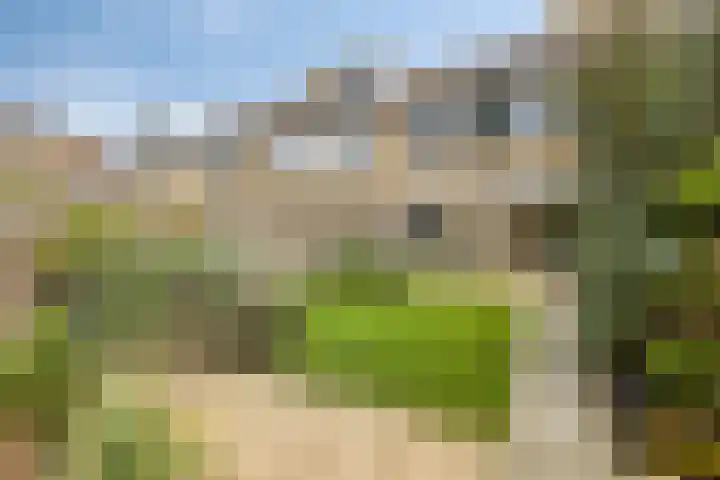 Hertog Albrechtstraat 7 Bovenkarspel thumbnail 4