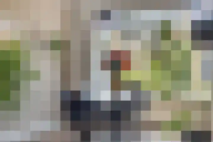 Hertog Albrechtstraat 7 Bovenkarspel thumbnail 9