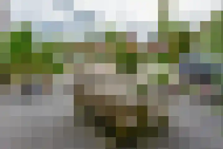 Hertog Albrechtstraat 70 Zevenhoven thumbnail 27