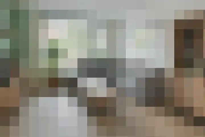 Hertog Albrechtstraat 70 Zevenhoven thumbnail 4