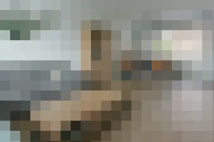 Hertog Albrechtstraat 70 Zevenhoven thumbnail 8