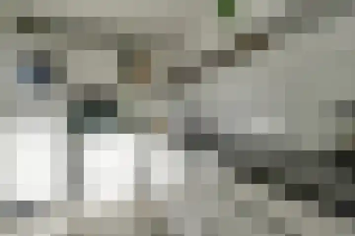 Hertog Albrechtstraat 8 Bovenkarspel thumbnail 13