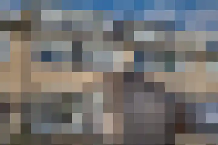 Hertog Albrechtstraat 8 Bovenkarspel thumbnail 18