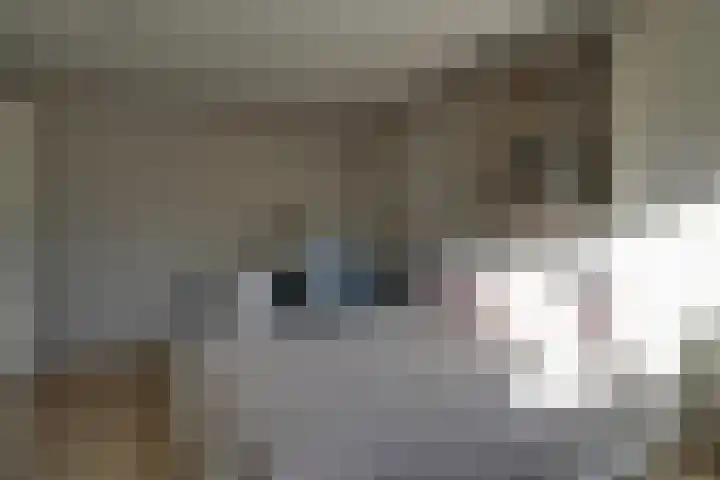 Hertog Albrechtstraat 8 Bovenkarspel thumbnail 25