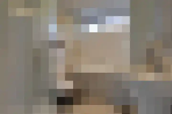 Hertog Albrechtstraat 8 Bovenkarspel thumbnail 26