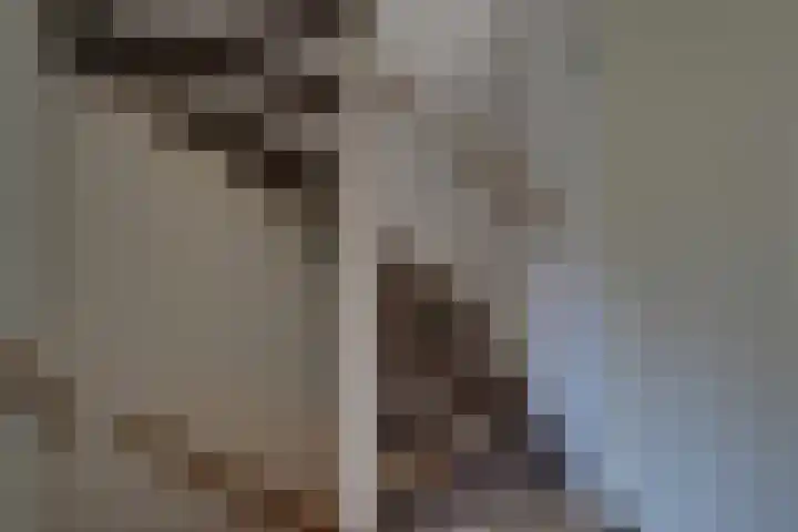 Hertog Albrechtstraat 8 Bovenkarspel thumbnail 35