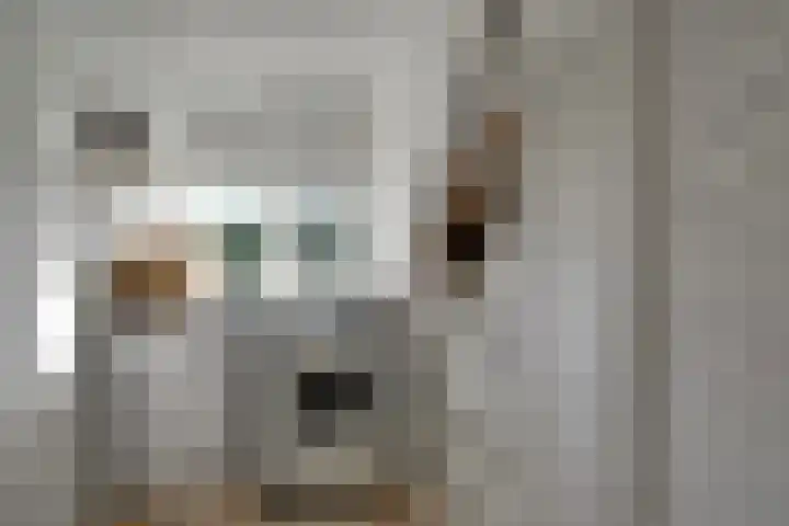 Hertog Albrechtstraat 8 Bovenkarspel thumbnail 36
