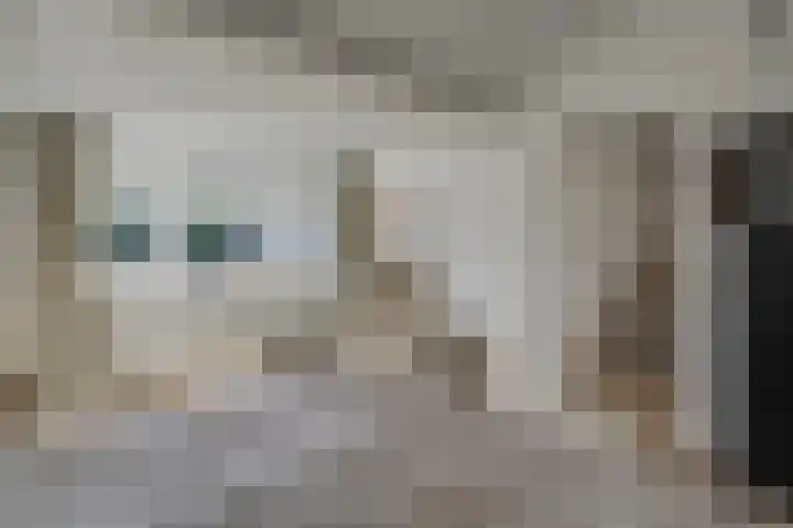 Hertog Albrechtstraat 8 Bovenkarspel thumbnail 38