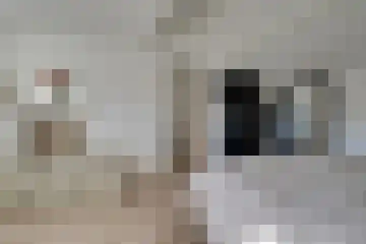 Hertog Albrechtstraat 8 Bovenkarspel thumbnail 39