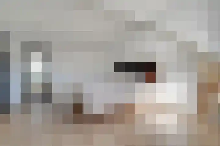 Hertog Albrechtstraat 8 Bovenkarspel thumbnail 40