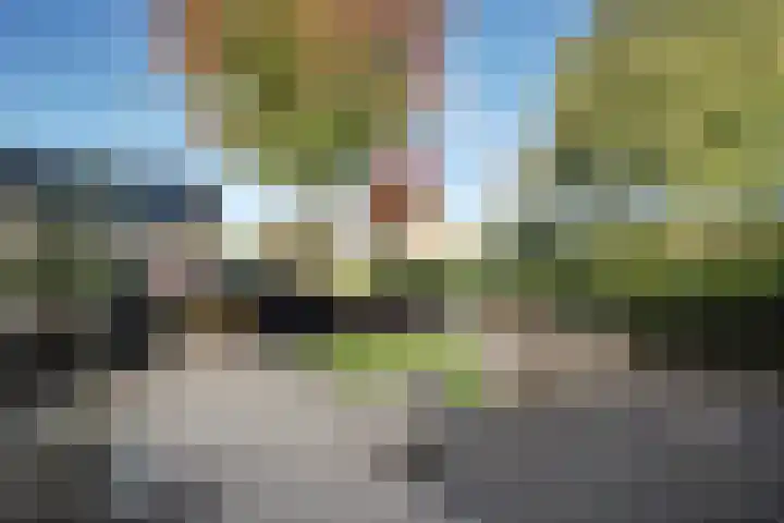 Hertog Albrechtstraat 8 Bovenkarspel thumbnail 44