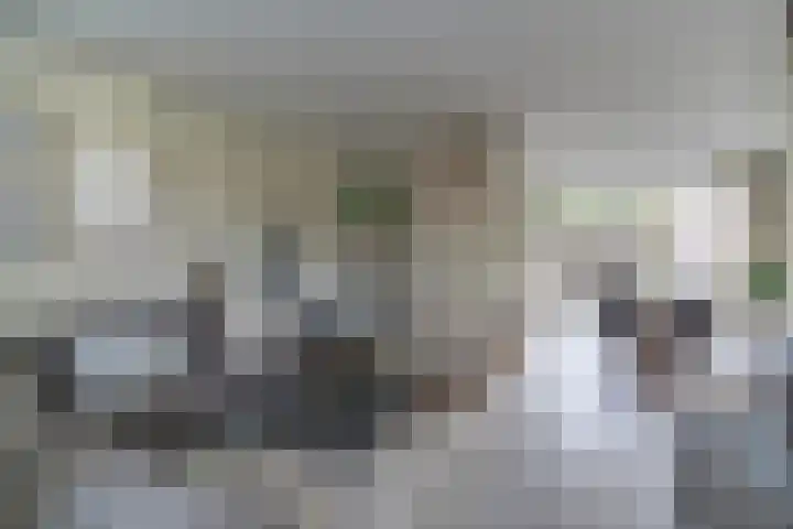 Hertog Albrechtstraat 8 Bovenkarspel thumbnail 7