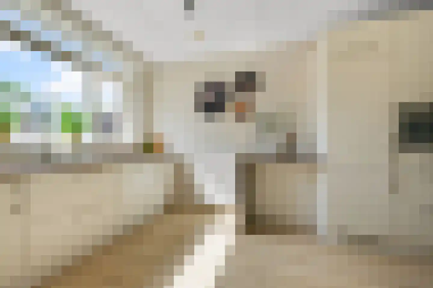 Hertog Albrechtstraat 84 Zevenhoven thumbnail 12