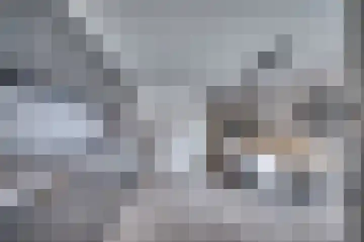 Hertog Alvastraat 4 Venlo thumbnail 10