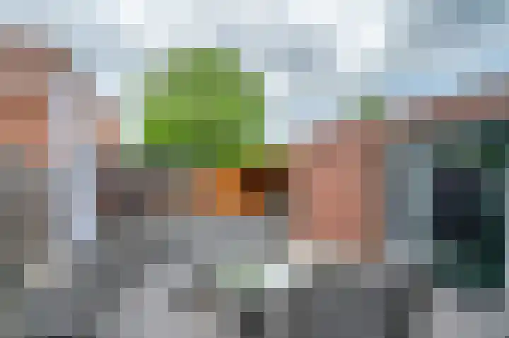 Hertog Alvastraat 4 Venlo thumbnail 28