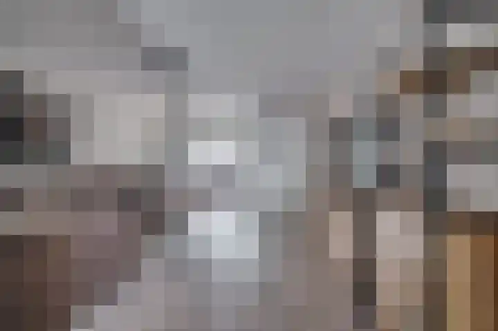 Hertog Alvastraat 4 Venlo thumbnail 4
