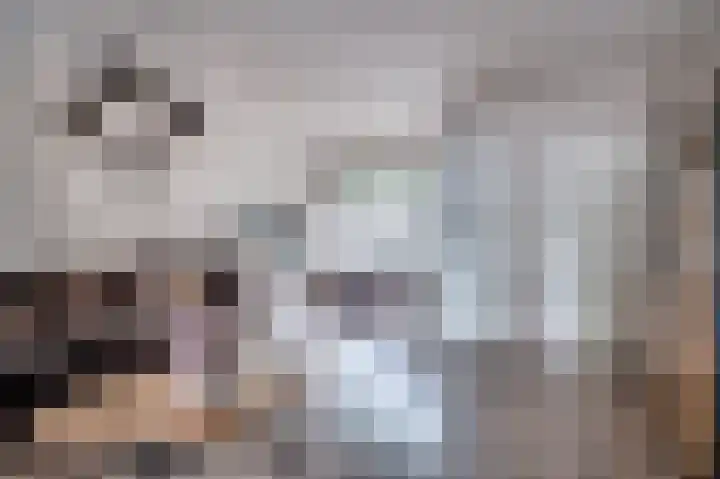 Hertog Alvastraat 4 Venlo thumbnail 5