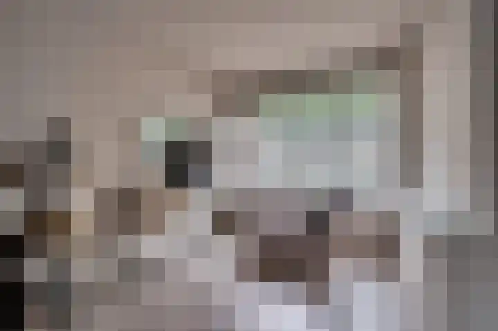 Hertog Alvastraat 4 Venlo thumbnail 6