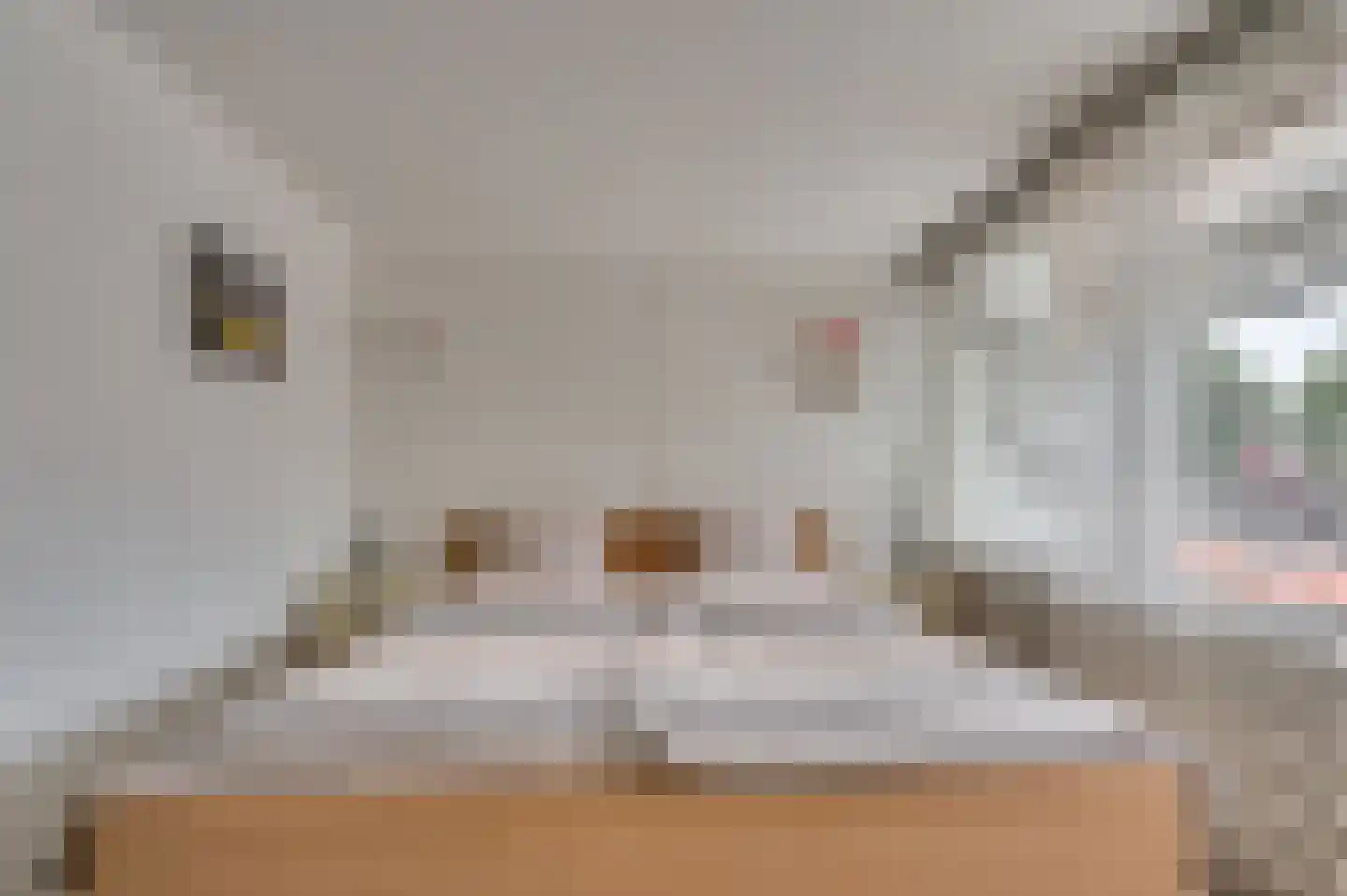 Hertog Alvastraat 42 Venlo thumbnail 22