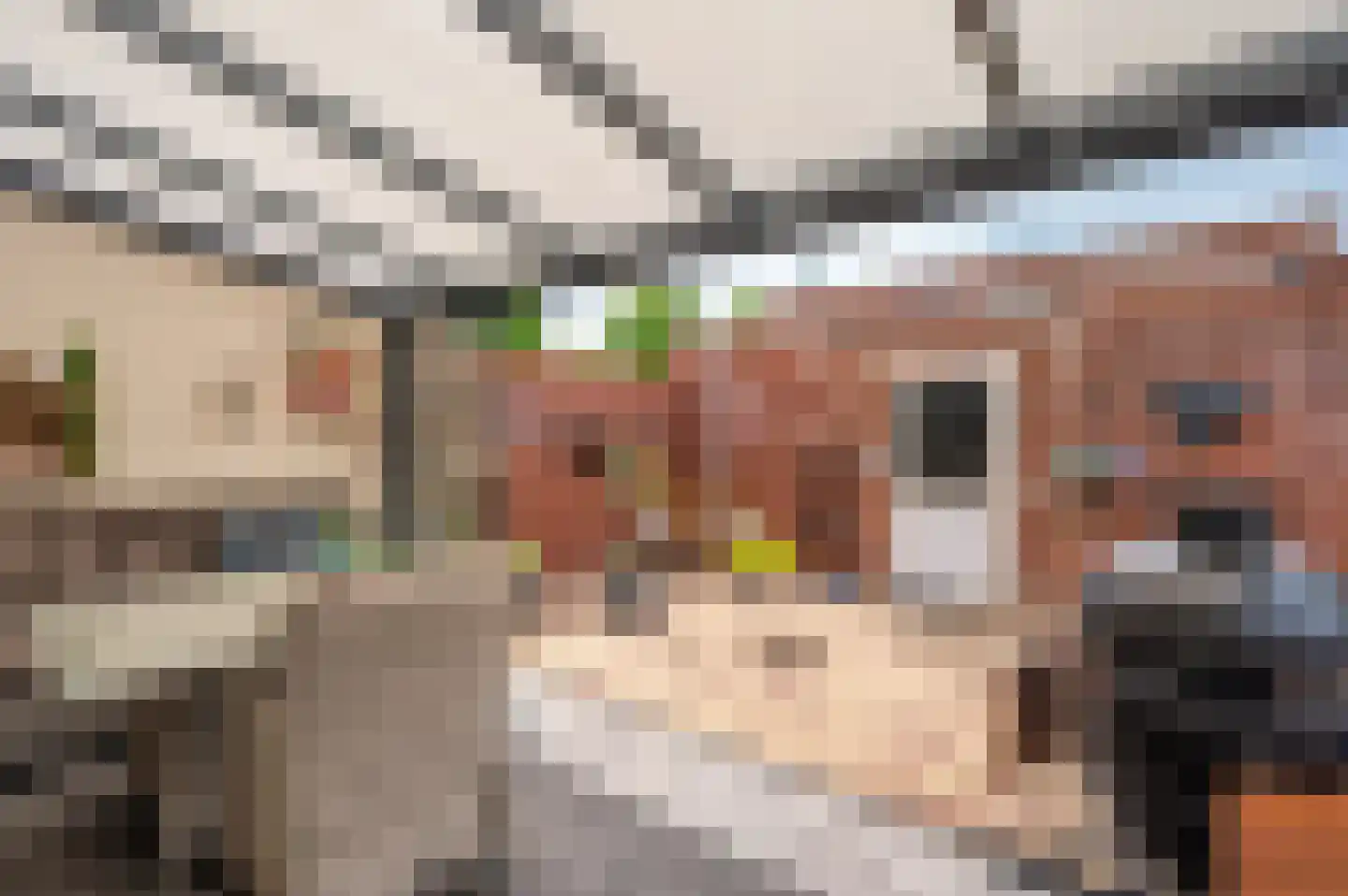 Hertog Alvastraat 42 Venlo thumbnail 37