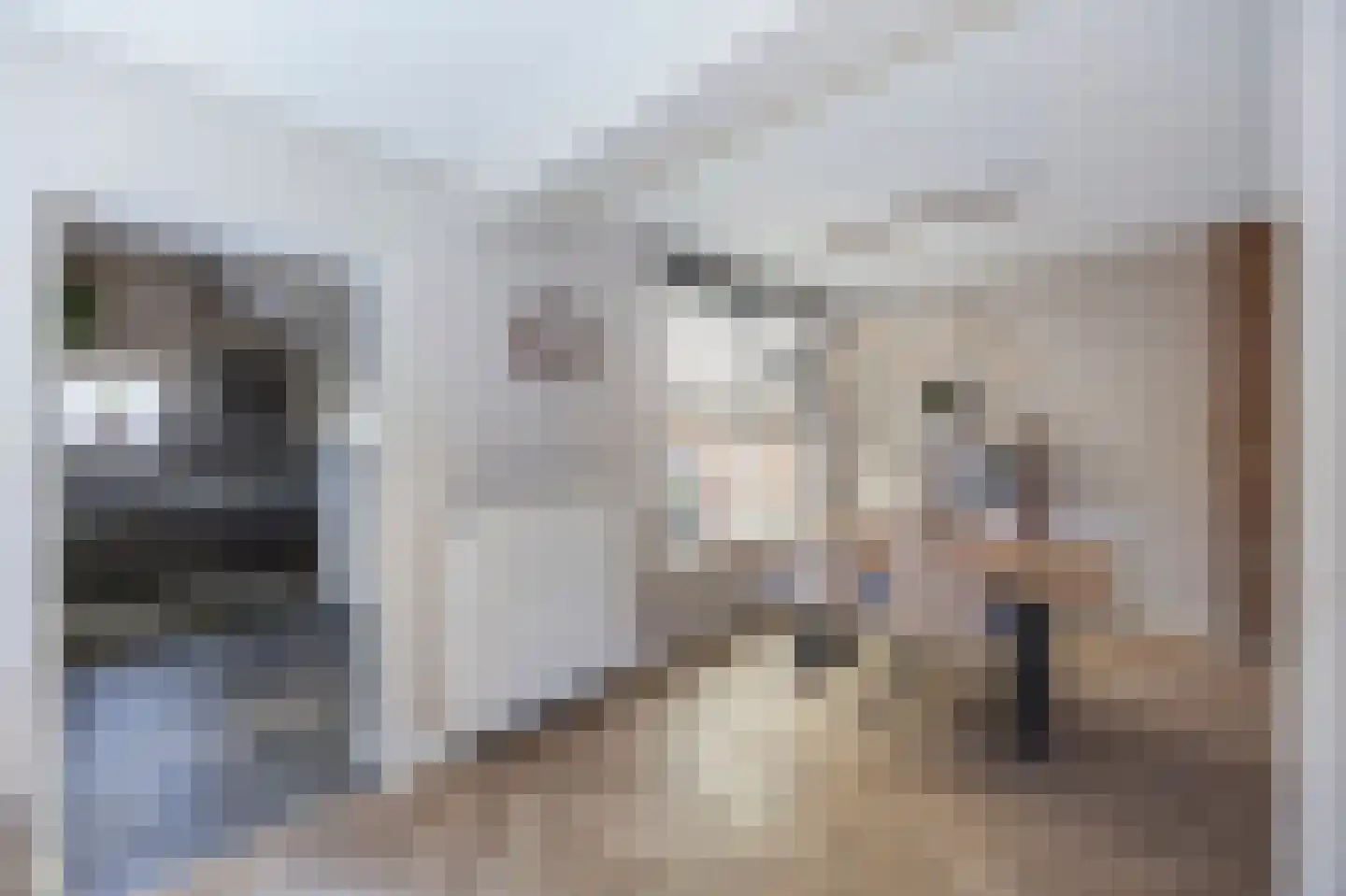 Hertog Arnoldstraat 13 Swalmen thumbnail 12
