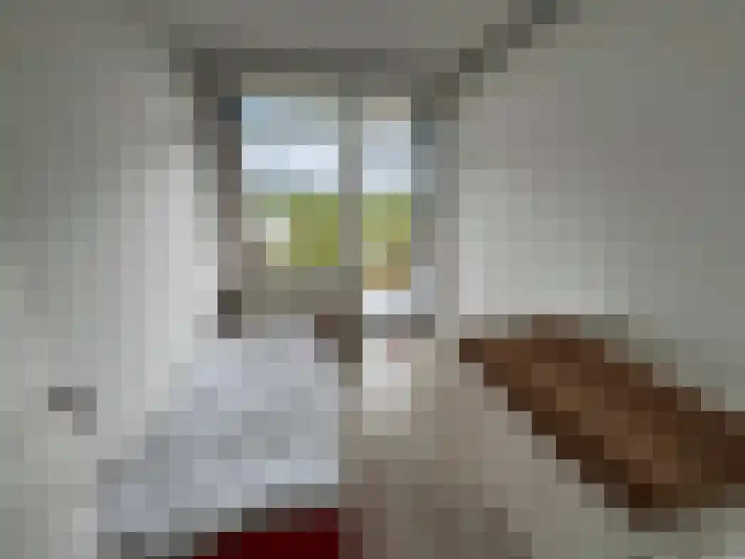 Hertog Arnoldstraat 14 Tiel thumbnail 6
