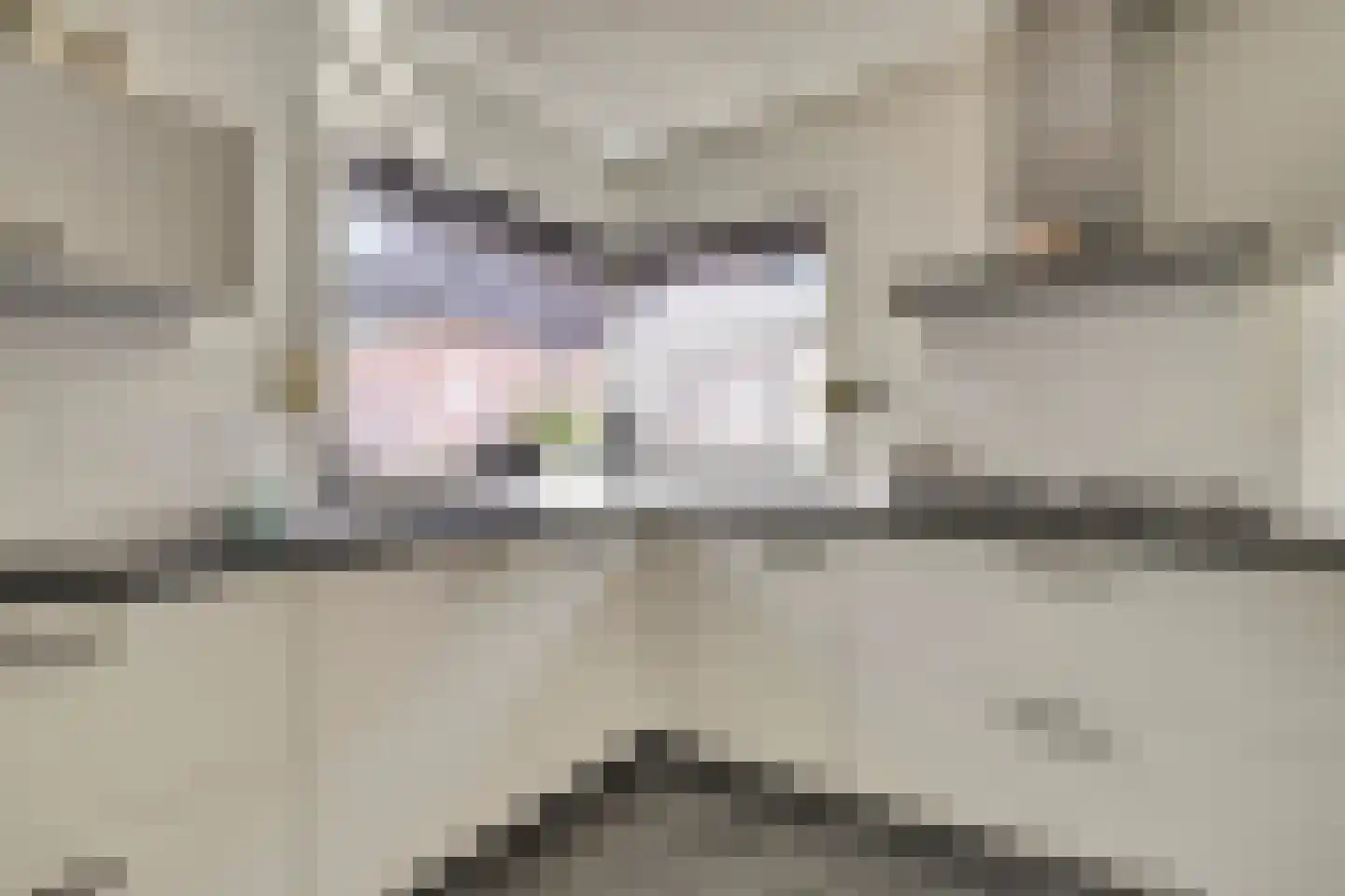 Hertog Arnoldstraat 15 Kerkdriel thumbnail 15