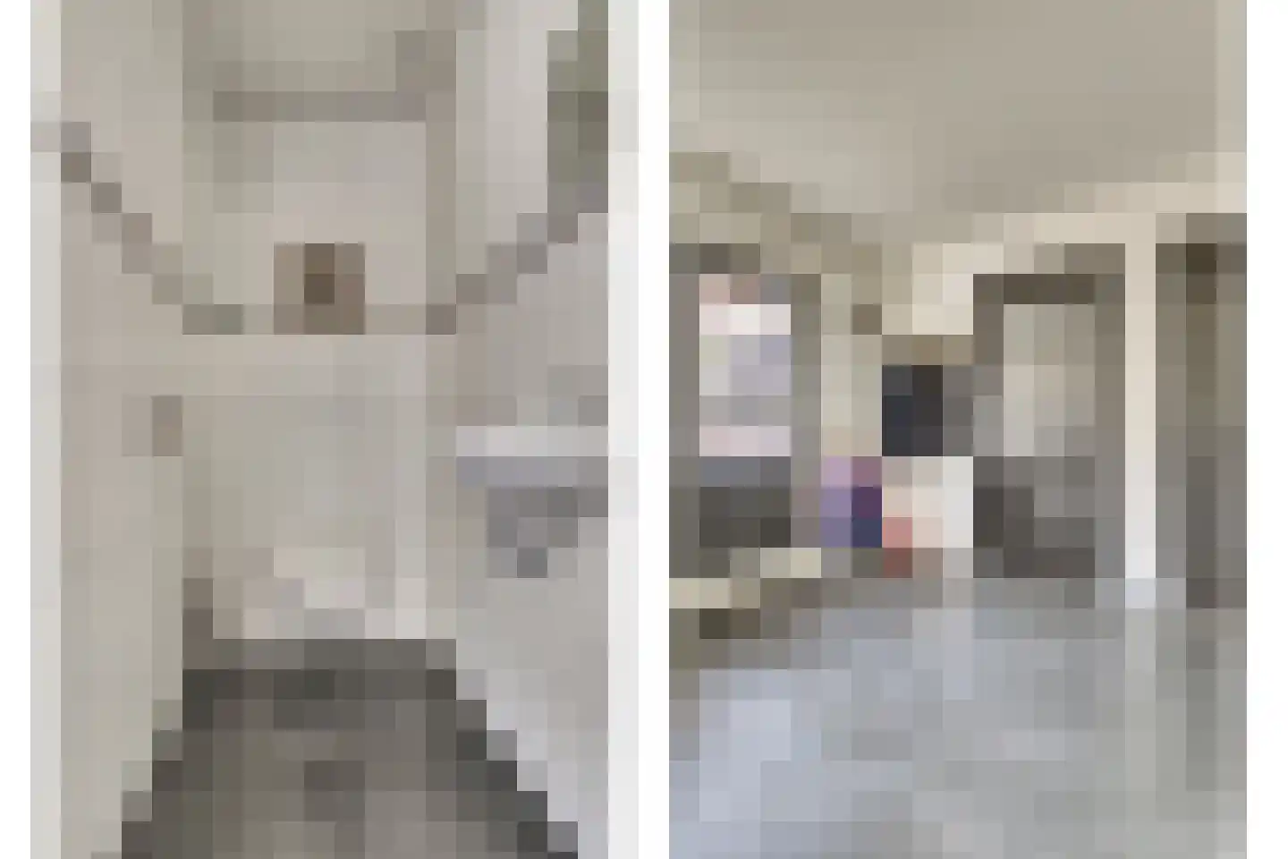 Hertog Arnoldstraat 15 Kerkdriel thumbnail 18