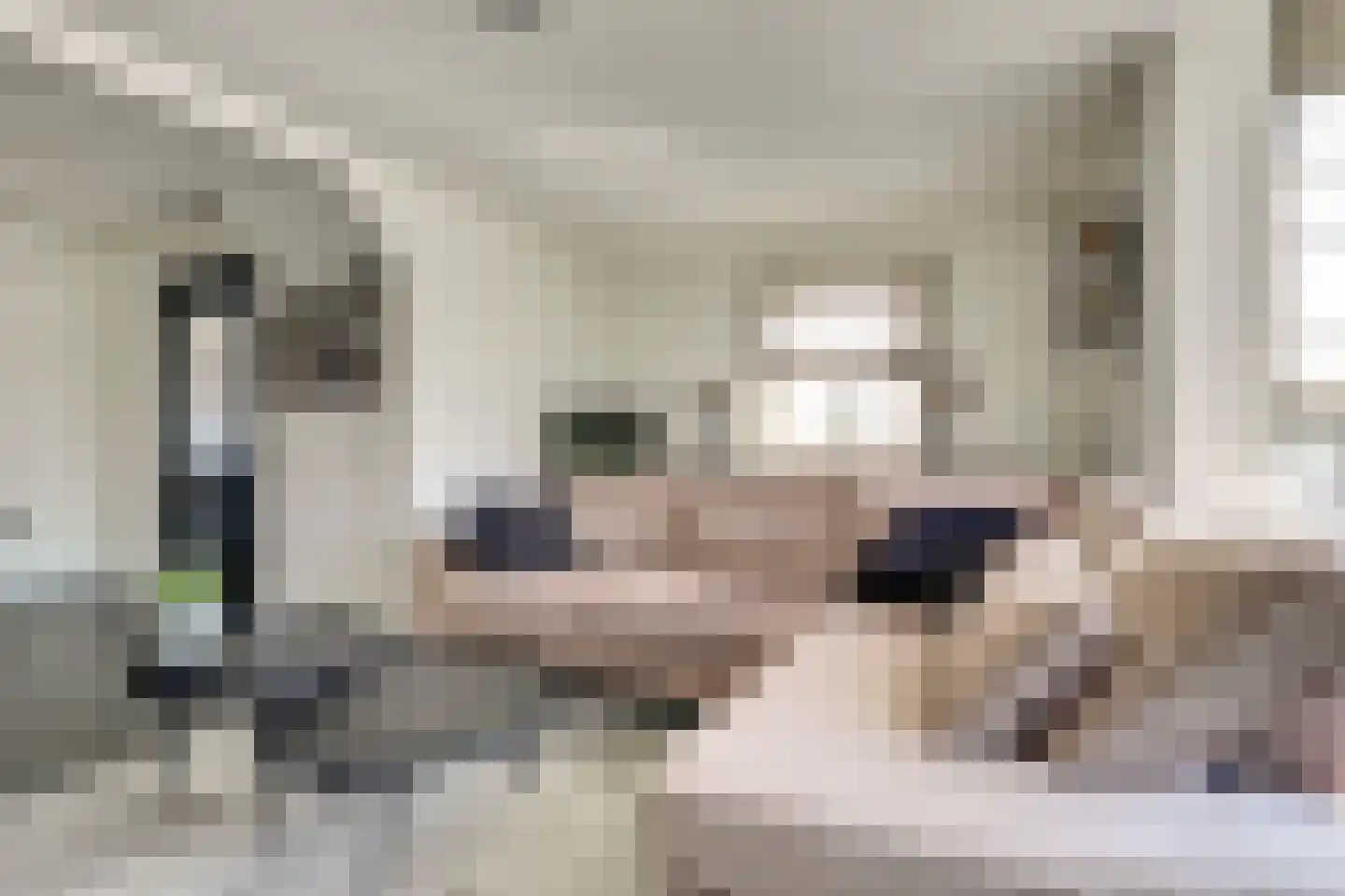 Hertog Arnoldstraat 15 Kerkdriel thumbnail 4