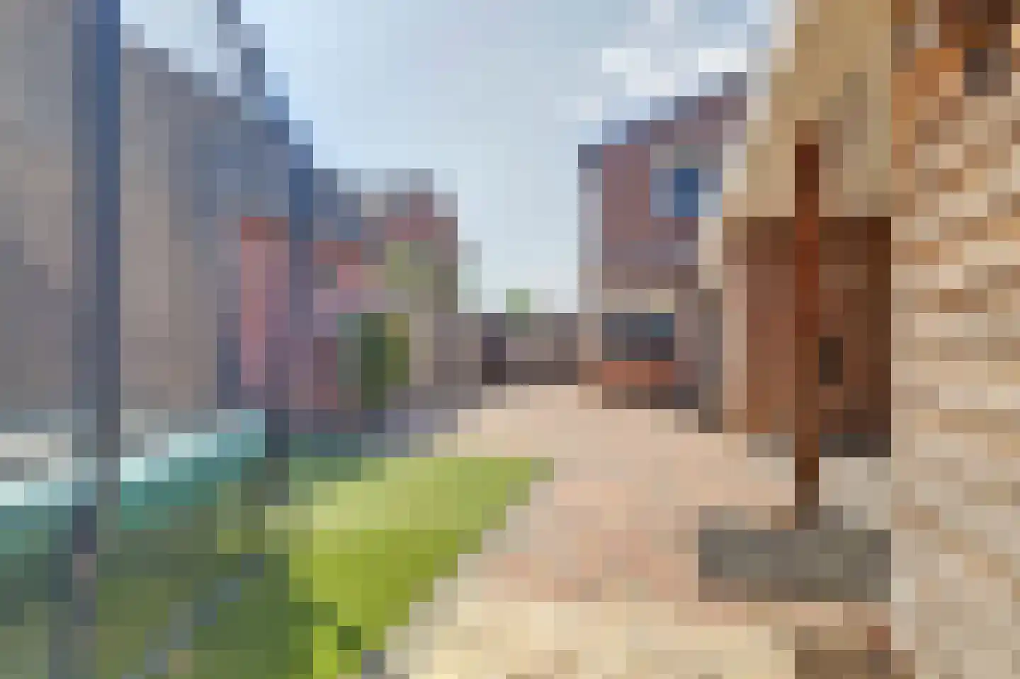 Hertog Arnoldstraat 15 Kerkdriel thumbnail 44