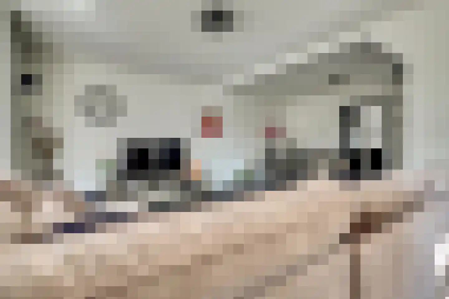 Hertog Arnoldstraat 15 Kerkdriel thumbnail 7