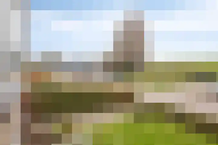 Hertog Arnoldstraat 2 Tiel thumbnail 28
