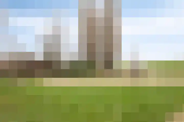 Hertog Arnoldstraat 2 Tiel thumbnail 32