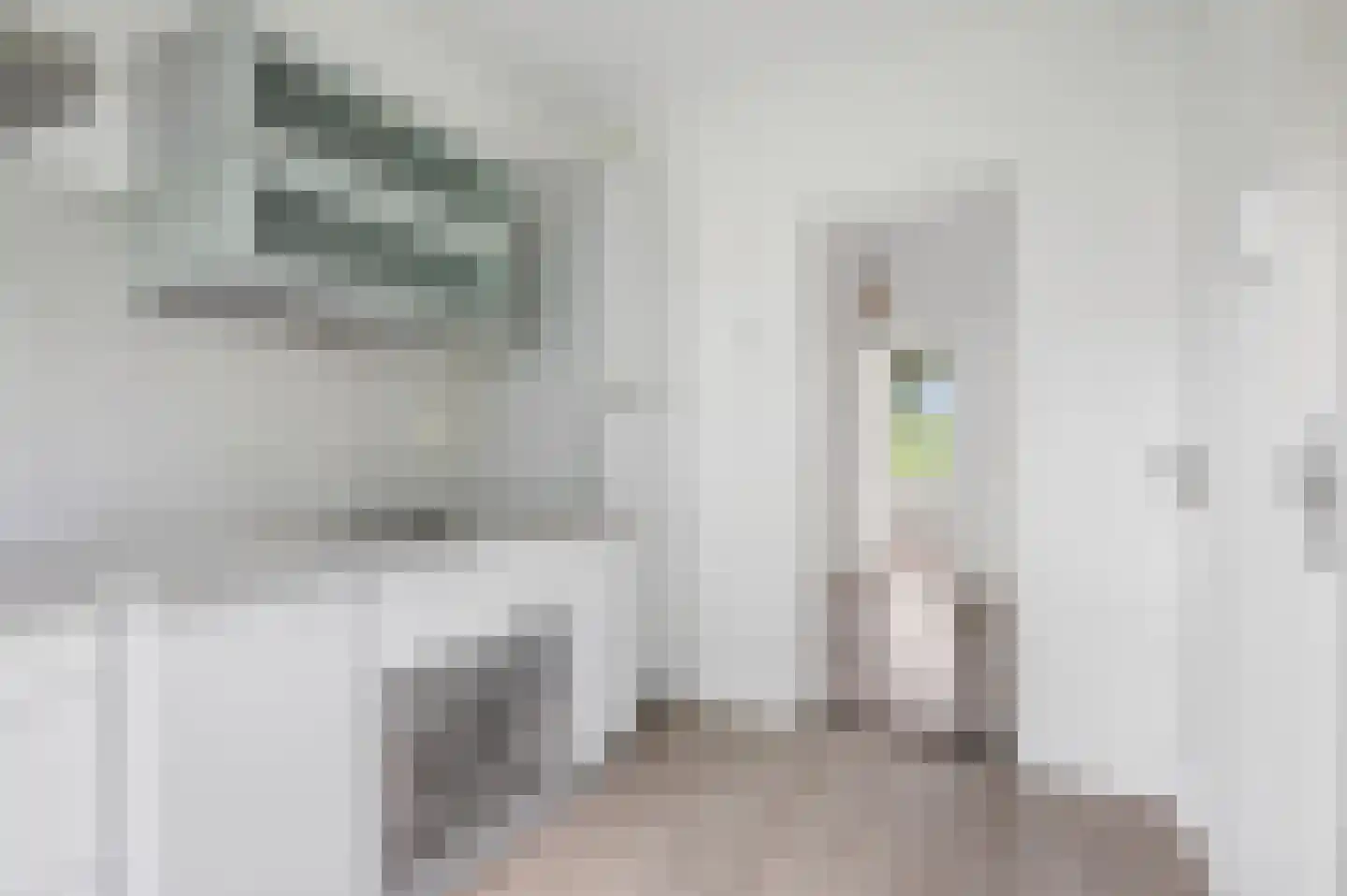 Hertog Arnoldstraat 26 Tiel thumbnail 4