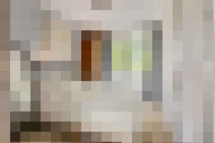 Hertog Arnoldstraat 74 Tiel thumbnail 4