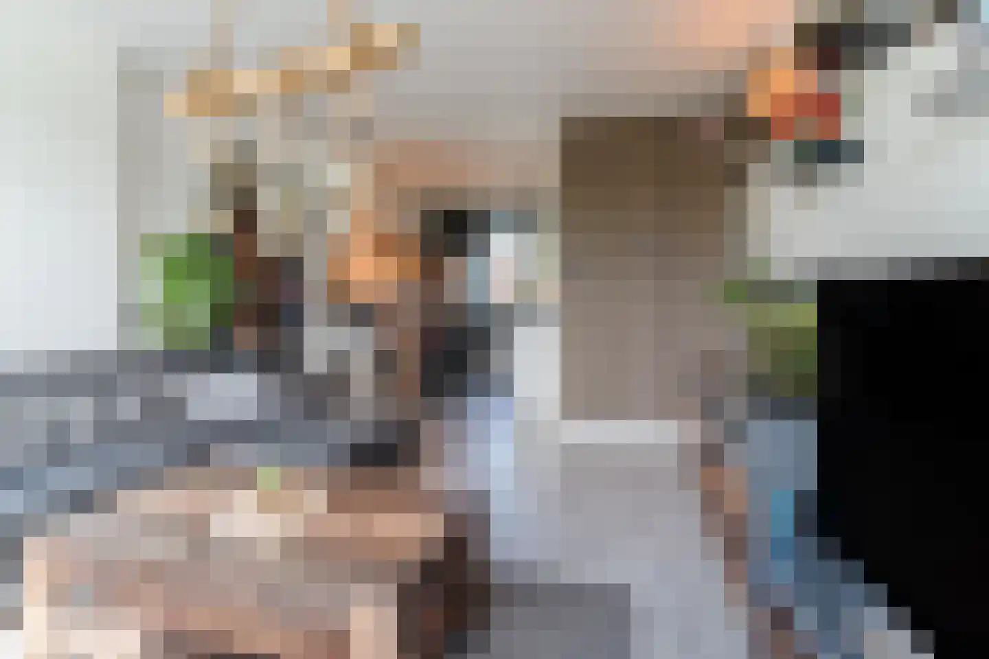 Hertog Arnoldstraat 92 Tiel thumbnail 9