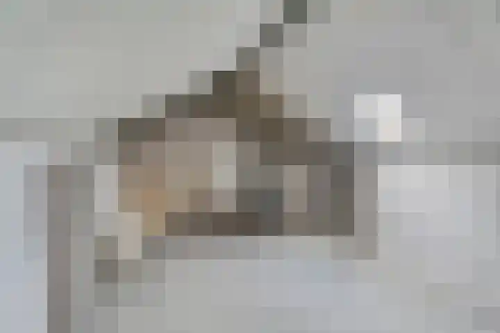 Hertog Arnoldweg 14 't Harde thumbnail 31