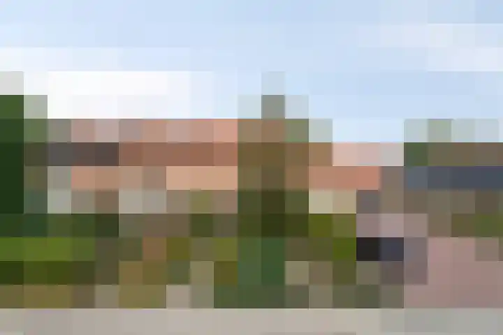 Hertog Arnoldweg 14 't Harde thumbnail 45