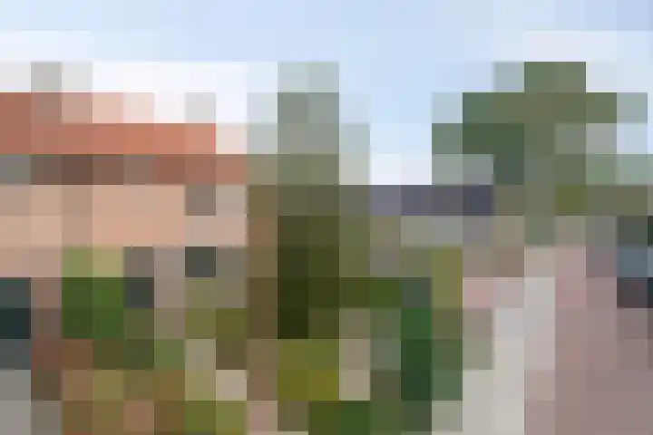 Hertog Arnoldweg 14 't Harde thumbnail 46