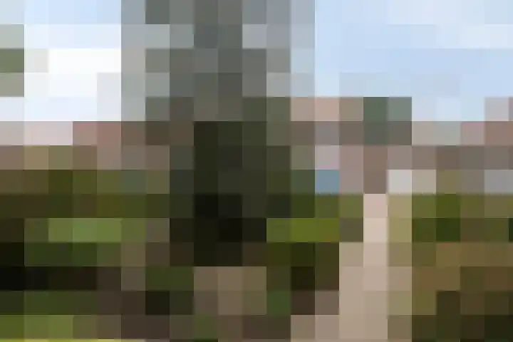 Hertog Arnoldweg 14 't Harde thumbnail 5