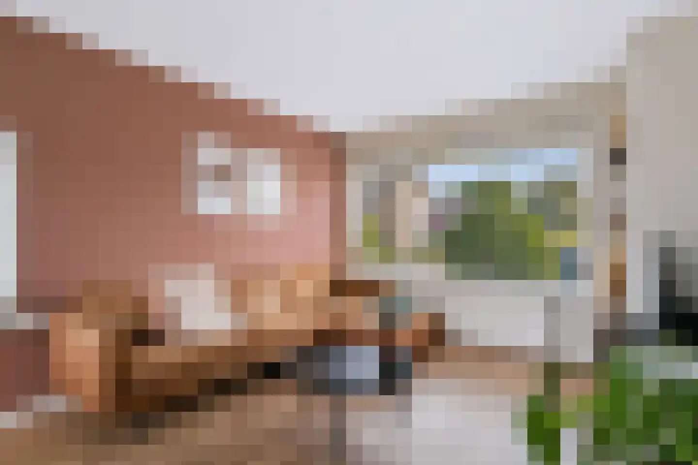 Hertog Arnoudstraat 16 Lobith thumbnail 12